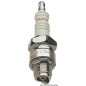 
Bougie Champion QC10WEP 
