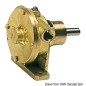 
Pompe Nauco PM 34 de 3/4" 
