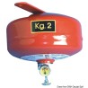 
Extincteur  pluie de poudre ogive 2 kg 
