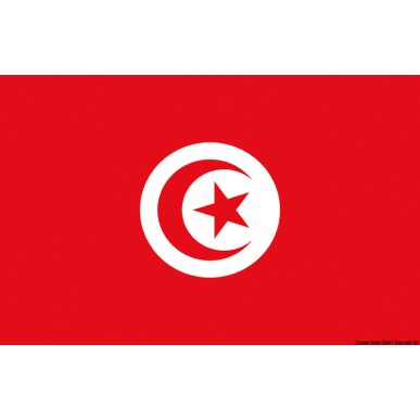 Pavillon Tunisie 20 x 30 cm | EAN 8033137122477 Ref 35.438.01