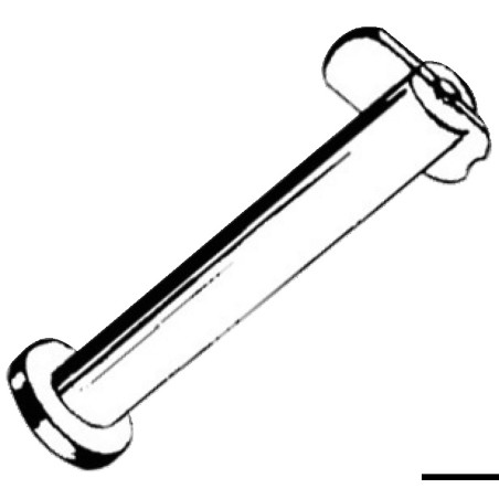 Goupille de fixation inox 6 x 25mm | EAN 8033137125171 Ref 37.107.02