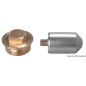 
Anode avec bouchon zinc + laiton 3/8" 
