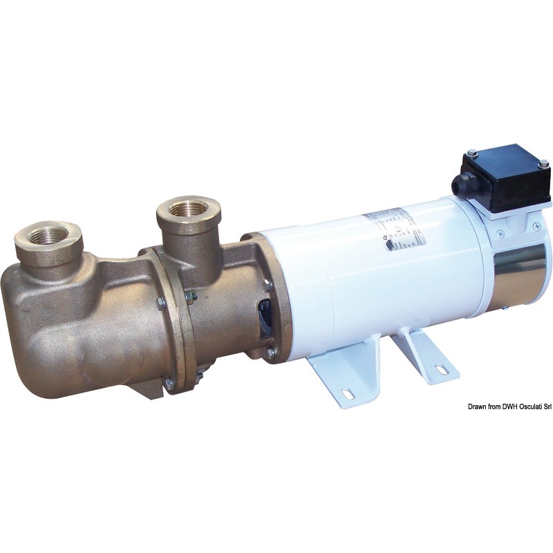 
Electropumpe autoamorçable CEM Sbr monovis bronze 24V 
