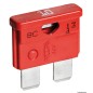 
Fusibles  fiche 30 A 
