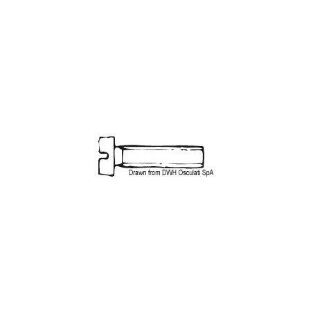 Vis tête cylindrique fileté 5x50 AISI 304 MET/TC5X50| EAN 8033137177217 Ref A2-84-05X050