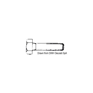 Vis tête hexagonale filetée 12x100 AISI 304 BULL12X100| EAN 8033137178238 Ref A2-933-12X100