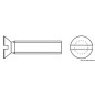 Vis tête conique fendue tournevis 8x60 mm AISI316
Vis tête conique fendue tournevis 8x60 mm AISI316