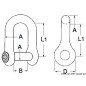 Manille pour ancres AISI 316 14 mm
Manille pour ancres AISI 316 14 mm