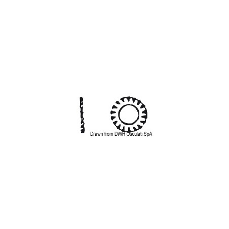Rondelle éventail 10 AISI 304 DENT10| EAN 8033137175022 Ref A2-6798-10
