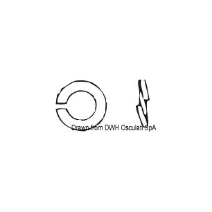 Rondelle GROWER 5 AISI 304 GROWER5| EAN 8033137174636 Ref A2-127-05