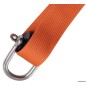 
Echelle anti-torsion pour remontée arbre de 10 m (longueur echelle 8,80 m)

