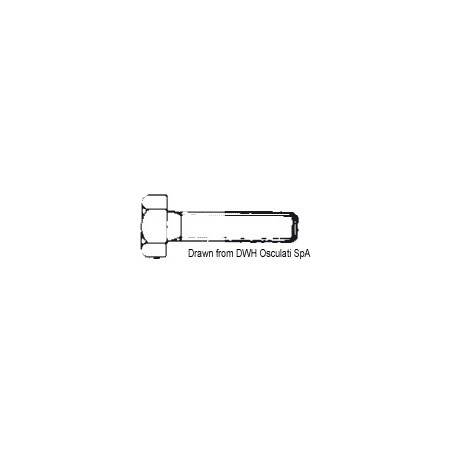 Vis tête hexagonale filetée 10x120 AISI 304 BULL10X120| EAN 8033137178191 Ref A2-933-10X120