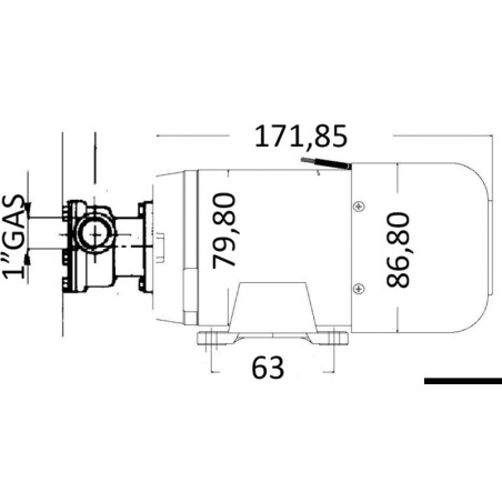 
Pompe de cale auto-amorçable 24 V 80 l/min 
