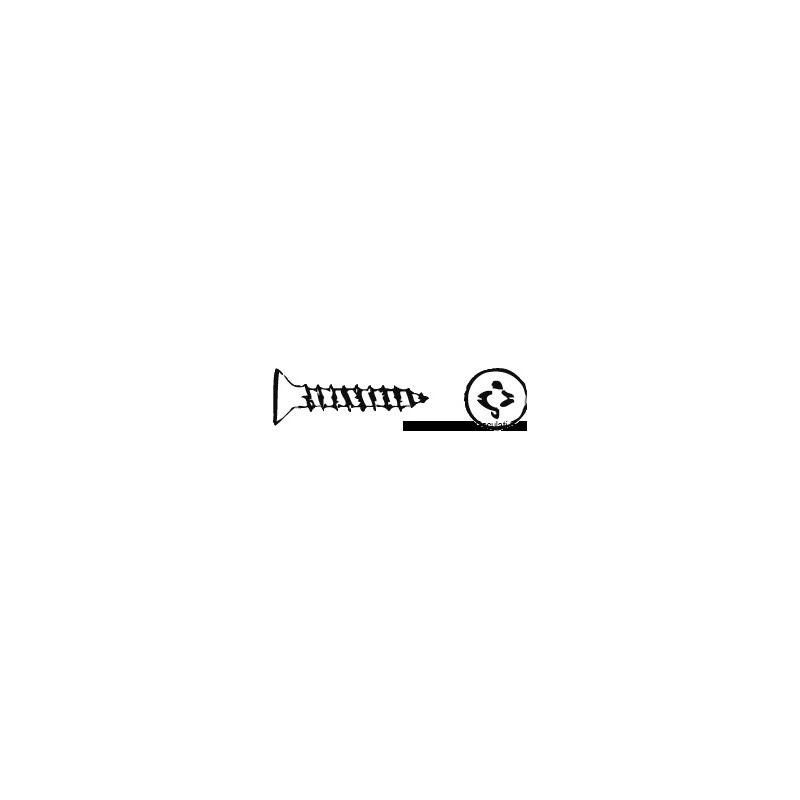 Vis crusiforme FASTAR 4,5x40 AISI 304 TRUC4,5X40
Vis crusiforme FASTAR 4,5x40 AISI 304 TRUC4,5X40