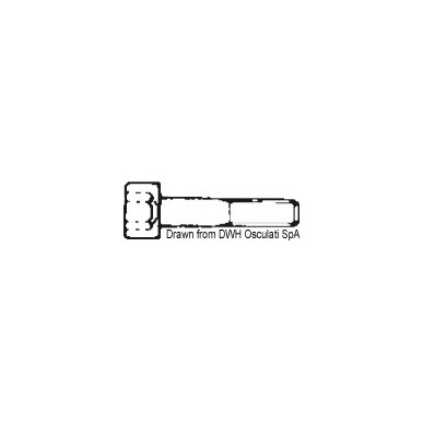Vis tête cylindrique six pans 6x40 AISI 304 BRUG6X40| EAN 8033137177712 Ref A2-912-06X040