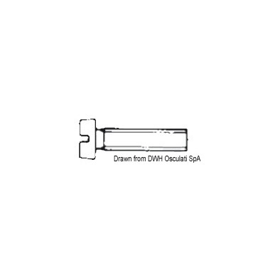 
Vis tête cylindrique filetée fendue 8x60 AISI 316 316.84/8X60
