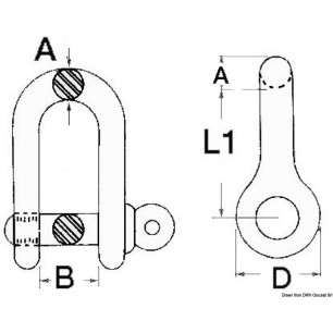
Manille mod. lyre  axe imperdable AISI 316 6 mm 
