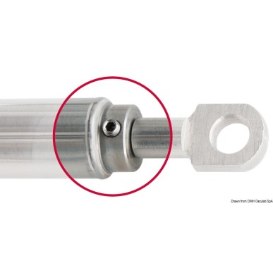 Ressort gaz AISI 316 972 mm 160 kg | EAN 8033137126239 Ref 38.010.14