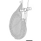 
Sac Whale p. loger le tuyau de la douche 
