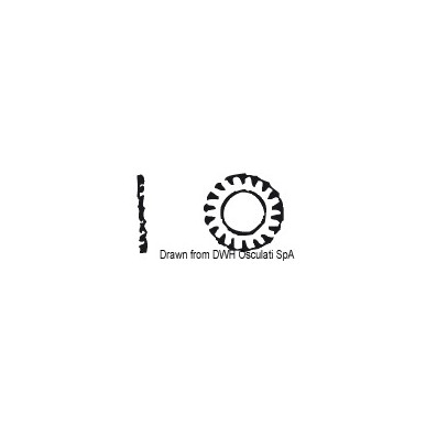 Rondelle éventail 4 AISI 304 DENT4| EAN 8033137174988 Ref A2-6798-04