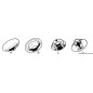 
Boutons  pression A+B en inox 
