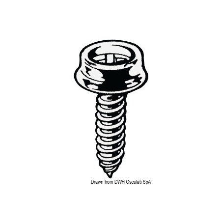 Boutons laiton nickelé moquette| EAN 8033137013041 Ref 10.306.00
