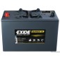Batterie Exide Gel 85 Ah
Batterie Exide Gel 85 Ah
