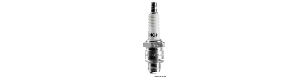 Bougies d'allumage : pour un moteur performant