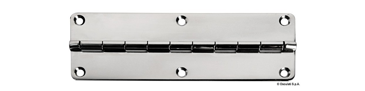 Charnières en inox pour portes et fenêtres