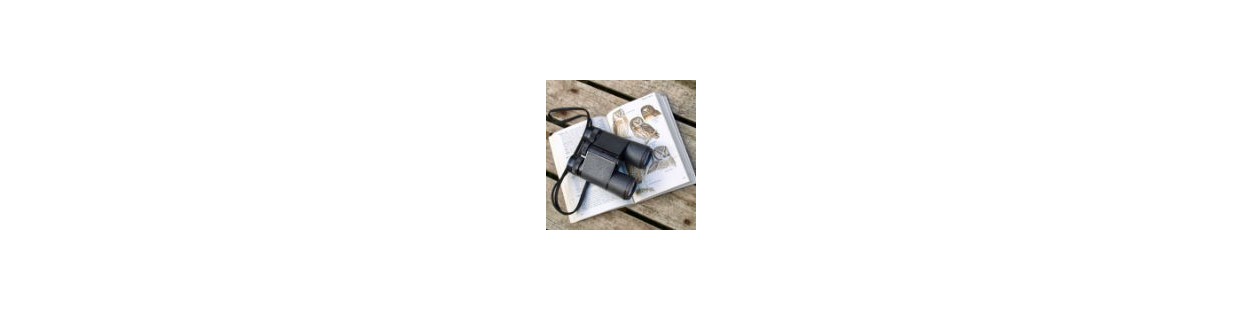 Tous les accessoires personnels pour camping car et van life